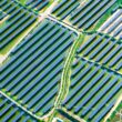 Panouri fotovoltaice la o centrală solară din China