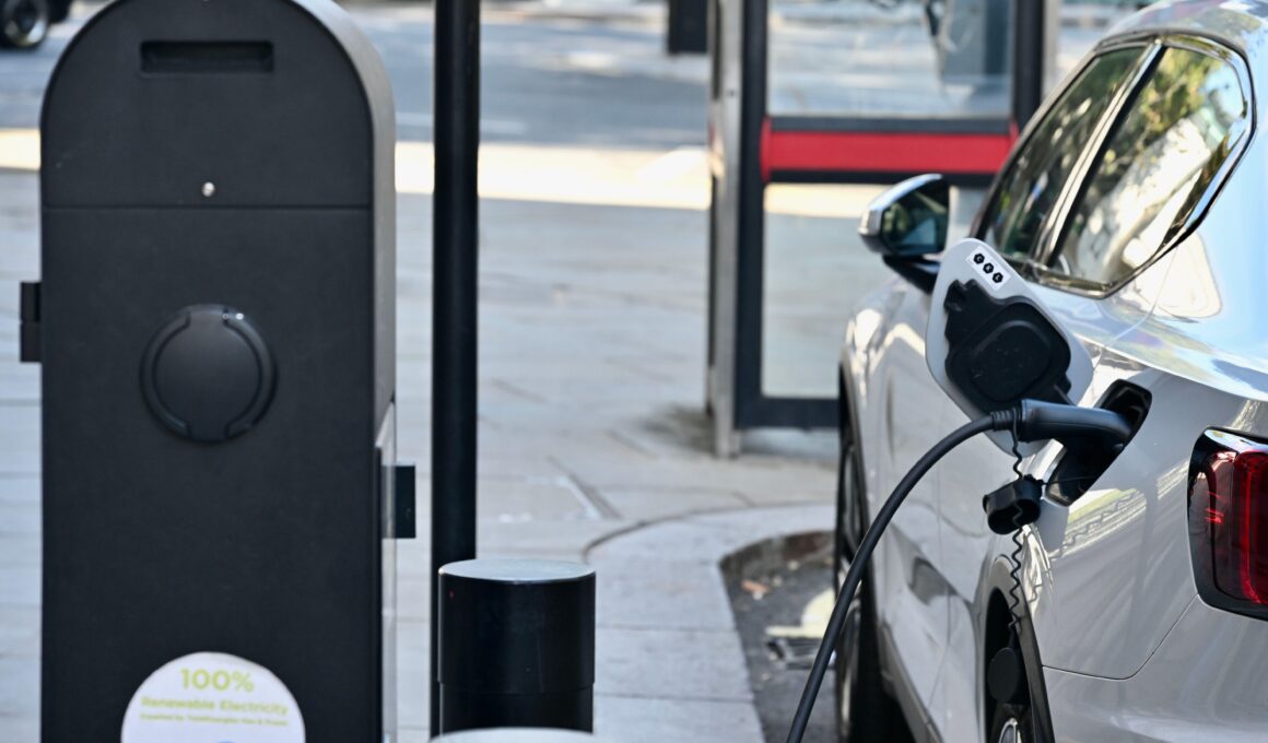 mașină electrică se încarcă