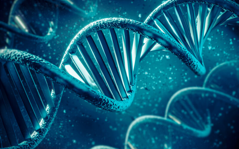 ilustratie cu o secventa adn