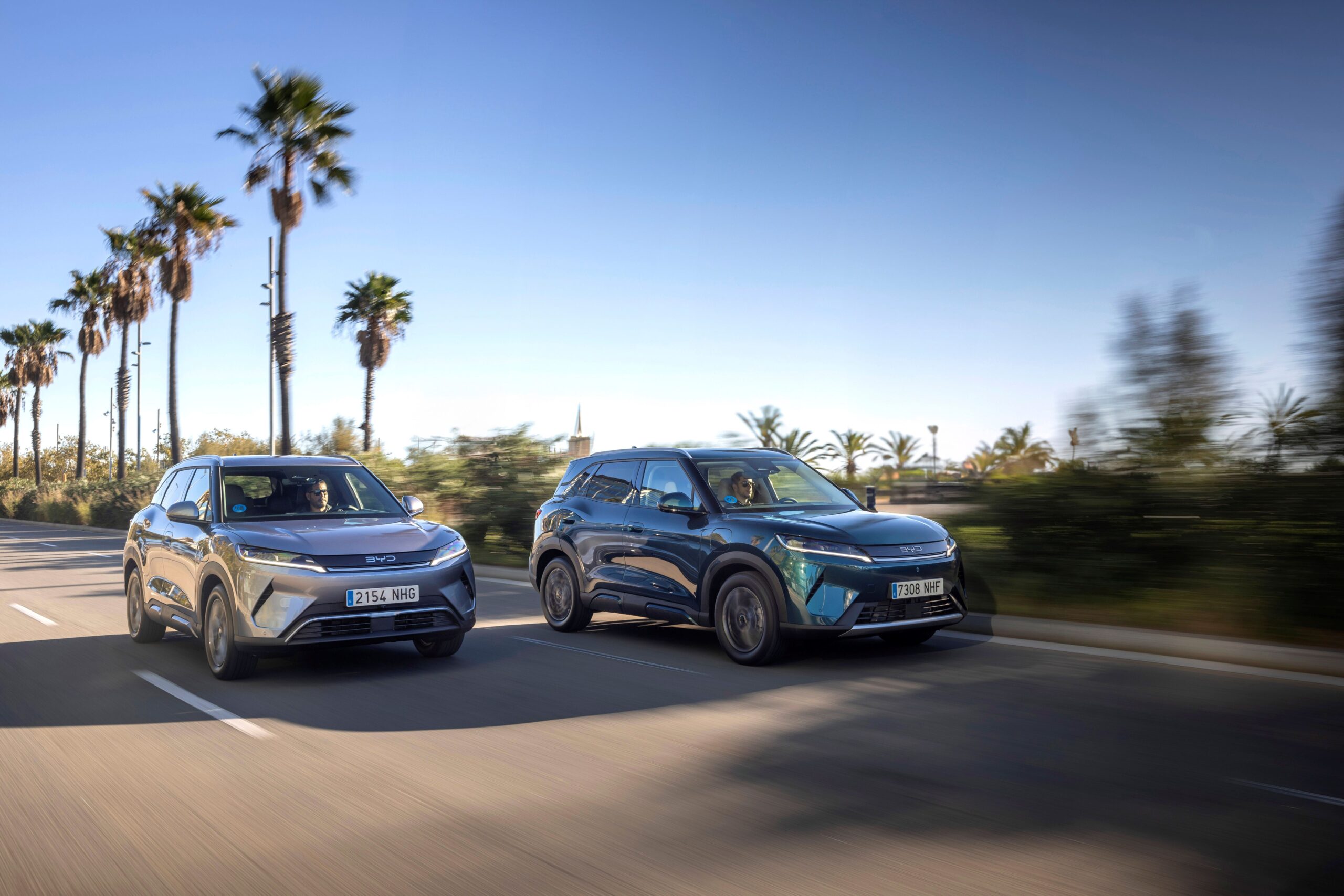 BYD-ATTO-2-ATTO-2-DM-i