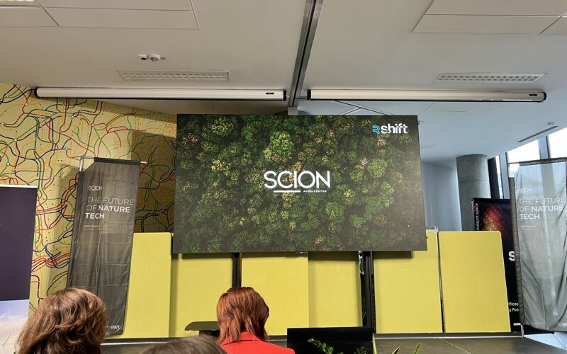 scion-accelerator-afaceri