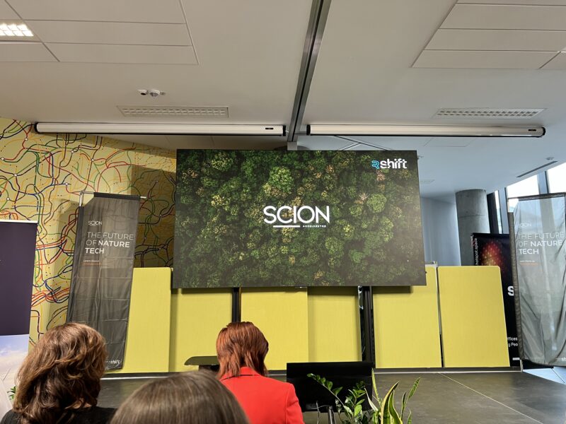 scion-accelerator-afaceri