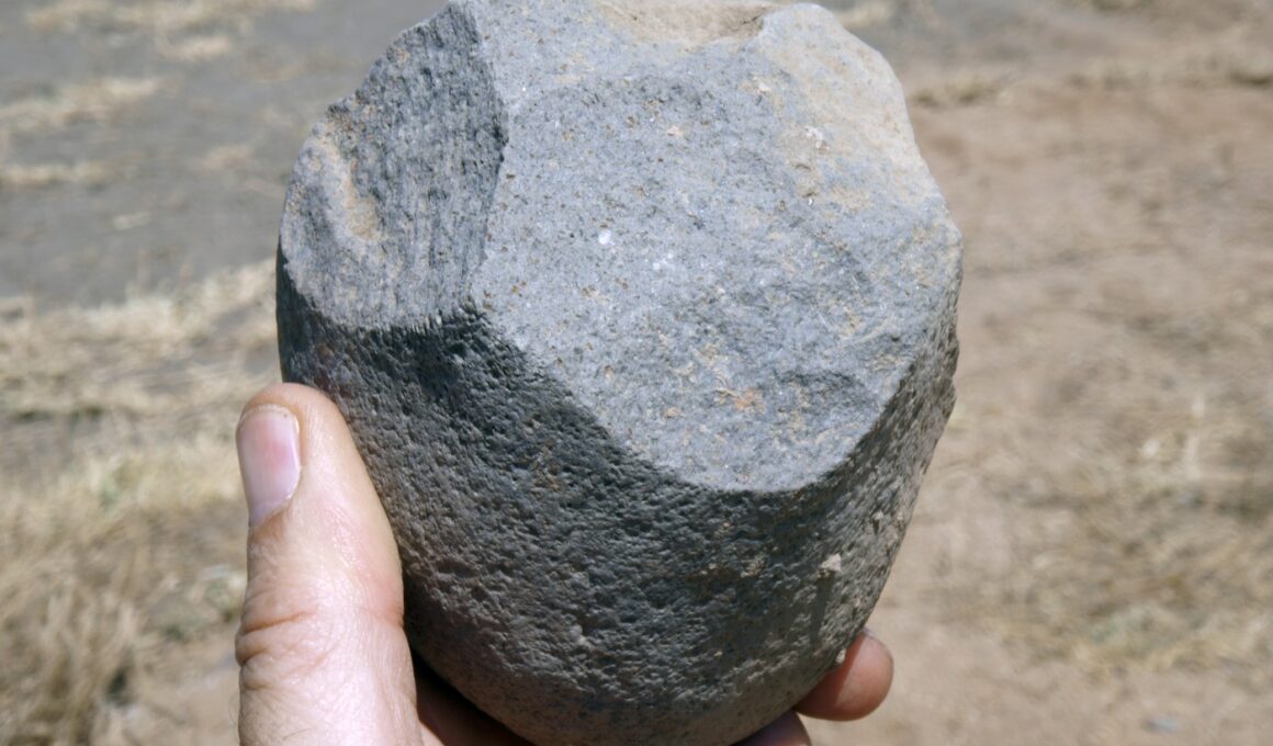 Unealtă de tip Oldowan