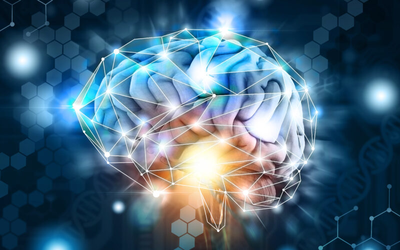 studiu-creier-celule