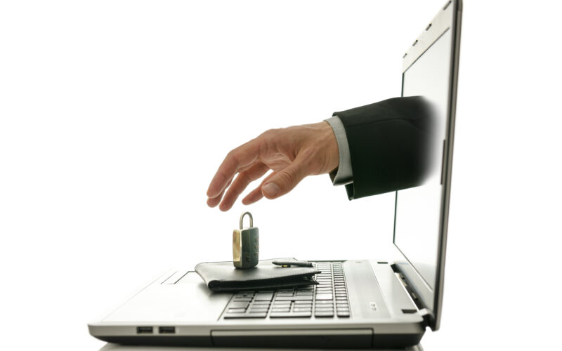 portofel digital-adoptare