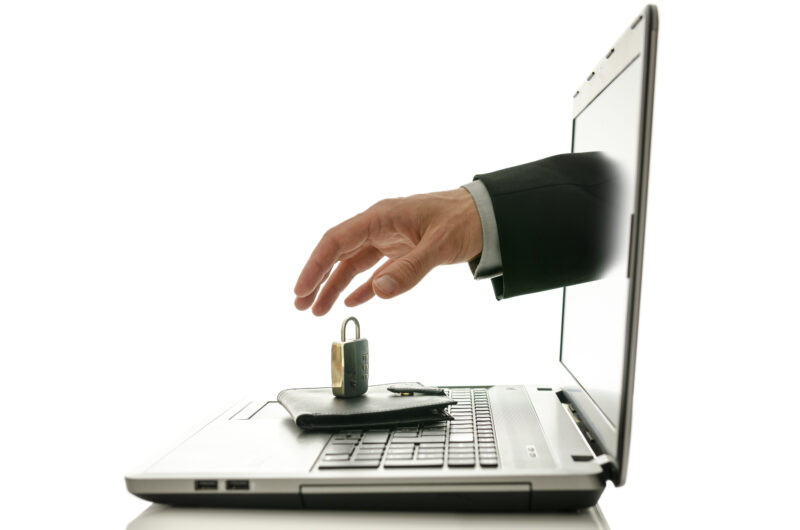 portofel digital-adoptare