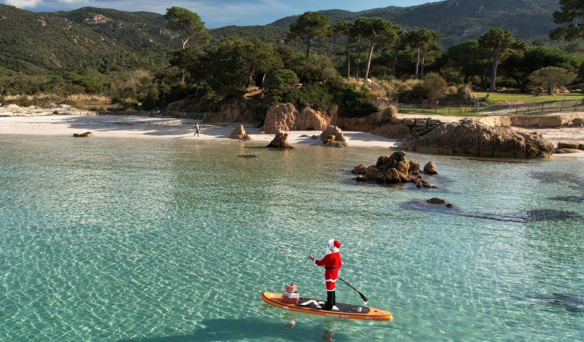 Insula-Craciunului-din-Oceanul-Indian