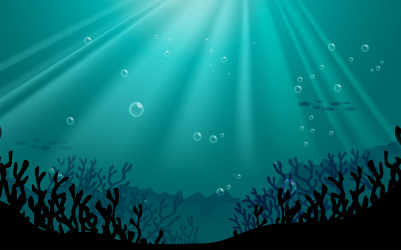 cercetari-descoperiri