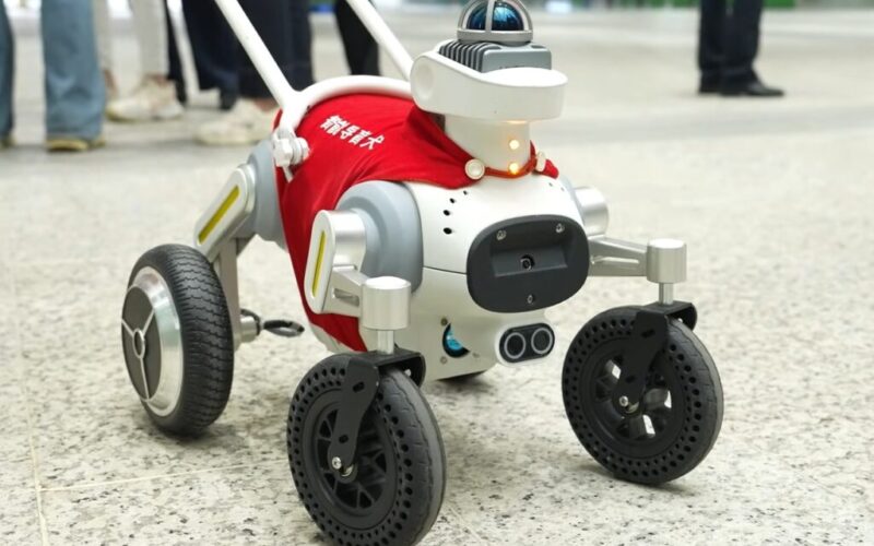 caine robot nevazatori