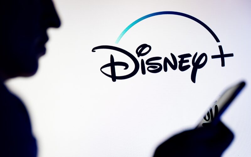 personaje-licentiere-utilizare