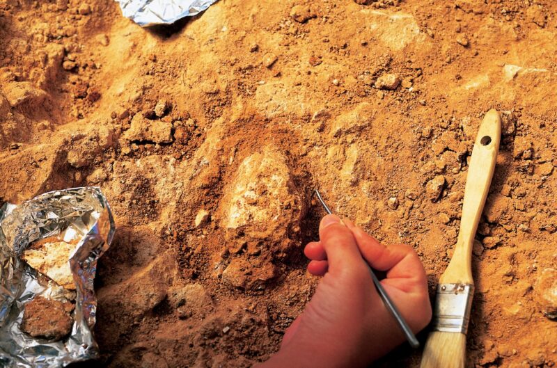 Arheologie preistorică