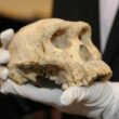 Craniu de la Dmanisi