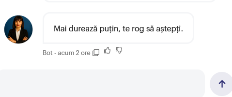 Chatbot-ul ANA de la ANAF