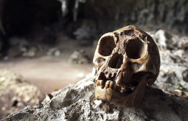craniu-hobbit-Homo-floresiensis