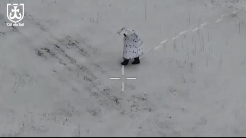 Camuflaj pinguin în Ucraina