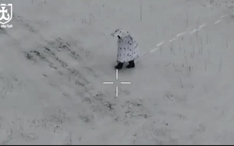 Camuflaj pinguin în Ucraina