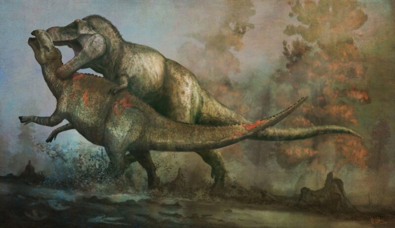 T-Rex care vânează un Edmontosaurus