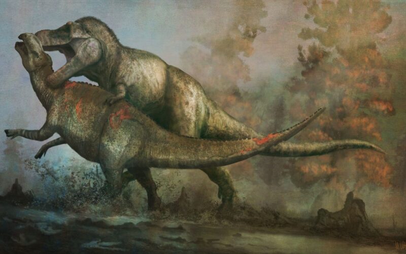 T-Rex care vânează un Edmontosaurus