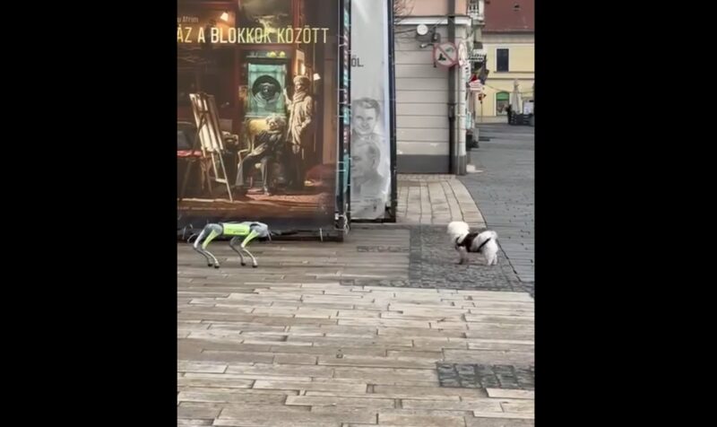 robot-curatenie-targu-mures