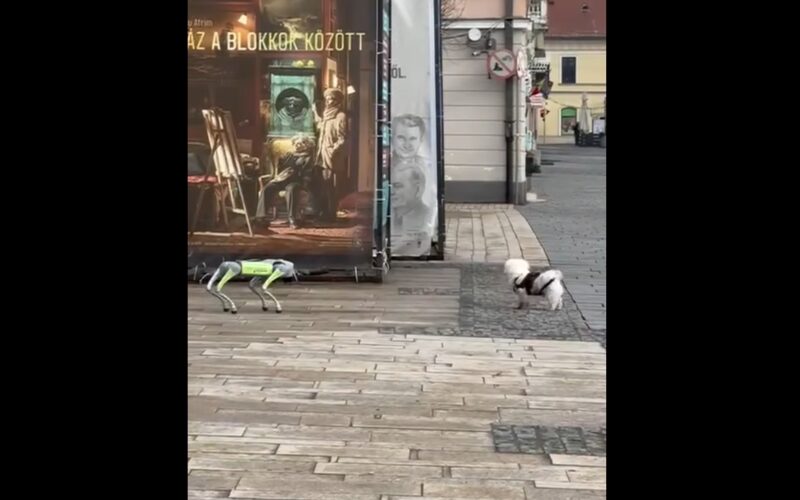 robot-curatenie-targu-mures