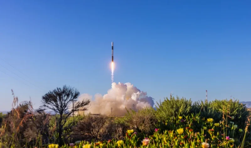 racheta-alpha-firefly