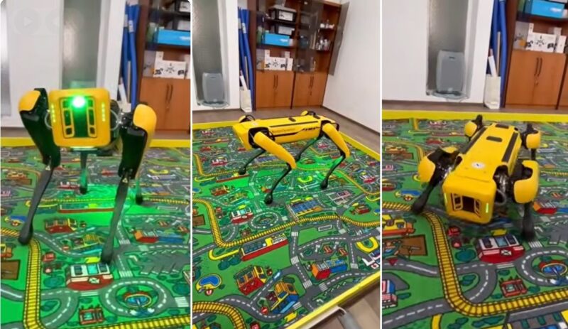 Facultatea din Iași