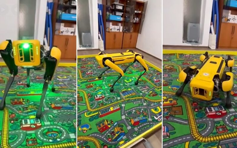 Facultatea din Iași